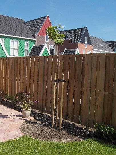 2006_07_18 tuin 013.jpg